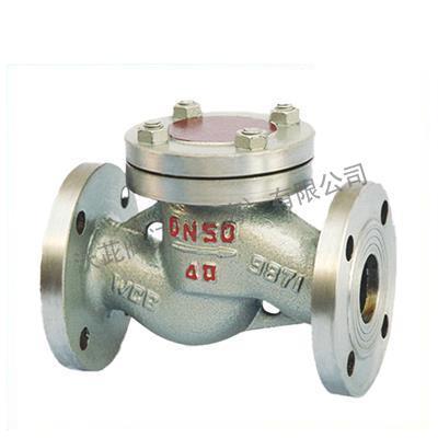 H41N LPG Check Valve