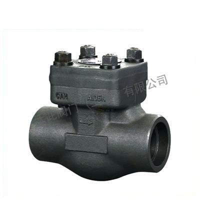 Z11Y/Z61Y Forged Steel Thread, Bearing Check Valve